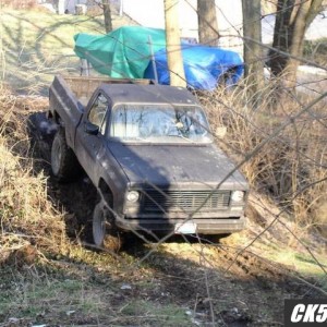 backyard41