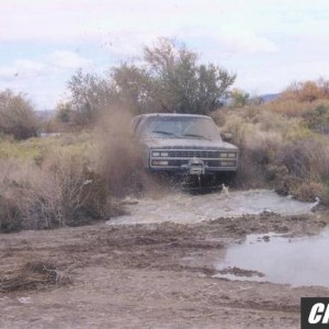 muddy 1