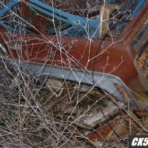 DSCF0032