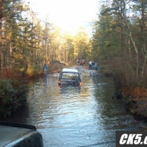 Picture20012-vi