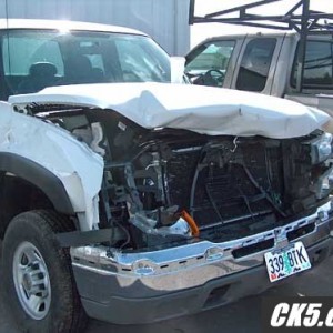 Elk_Hit-03