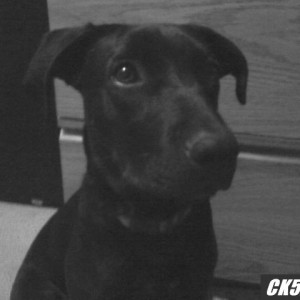 roxy again