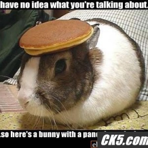 t_know_what_your_talking_about