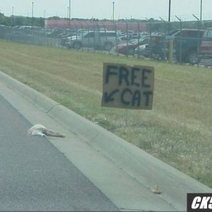 free_cat