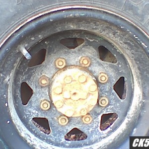 b8