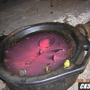 DSCN1942