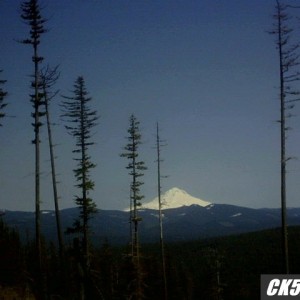 mt_hood_from_goat_mt