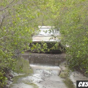 cucv