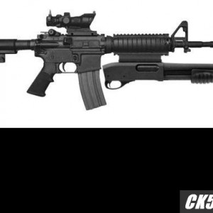 rem870mcs_ax