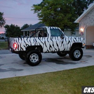 zebra bedliner stripes
