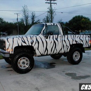 zebra bedliner stripes
