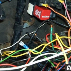 the rats nest