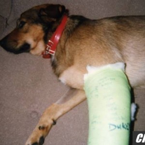 Poor Mortimer