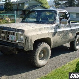stock