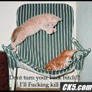 killyou