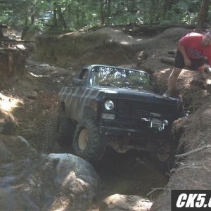 Tellico Fun