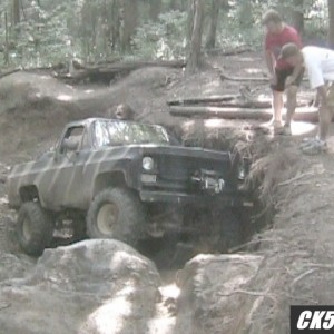 Tellico Fun