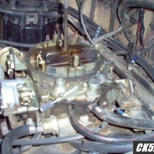carb1_y
