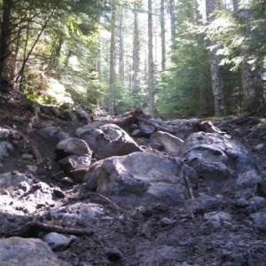 Goat Mountain