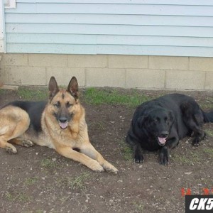 Kato and Mesa