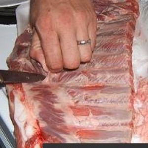 ribs1