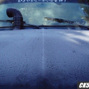 frost_Small_