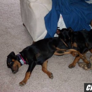 Picture_078