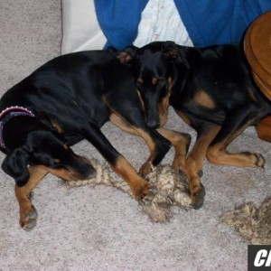 Picture_079
