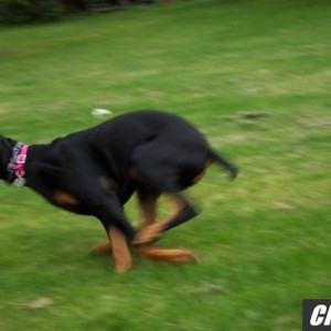 Picture_106