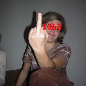 1063bird