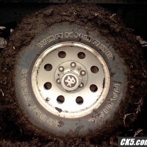 01GMCWORKHORSE_Radial