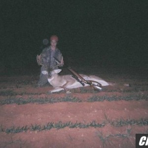 2006 DEER PICS