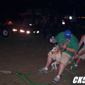 ride the pony