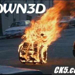 flamingchair