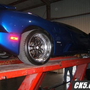 lambo1