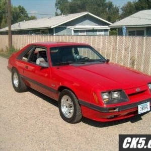 the_stang