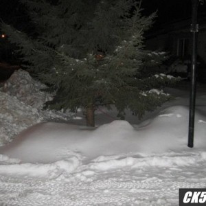 snow_ck5_004