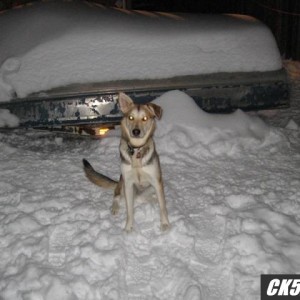 snow_ck5_007