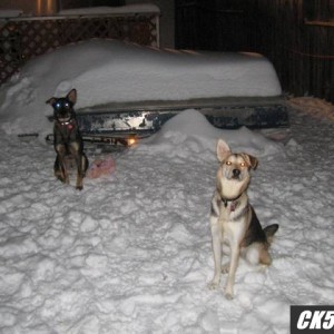 snow_ck5_008