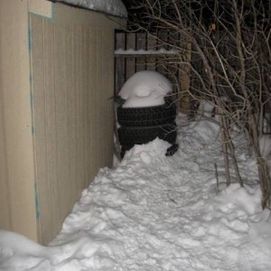 snow_ck5_009