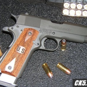 sa1911hornady