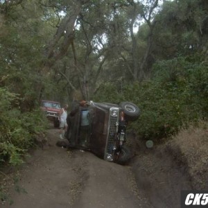 Burt_gone_wild_02