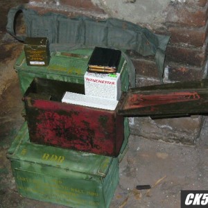 P10004361