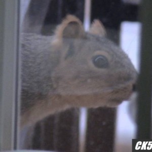 uhm_007
