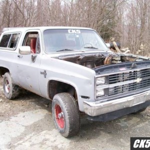 roadkill1