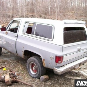 roadkill3