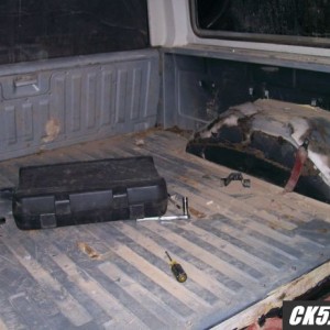 roadkillint1