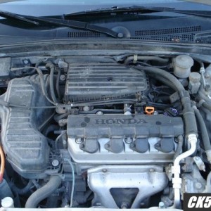 civic8