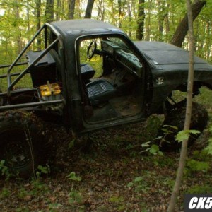 woods9