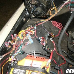 rats_nest